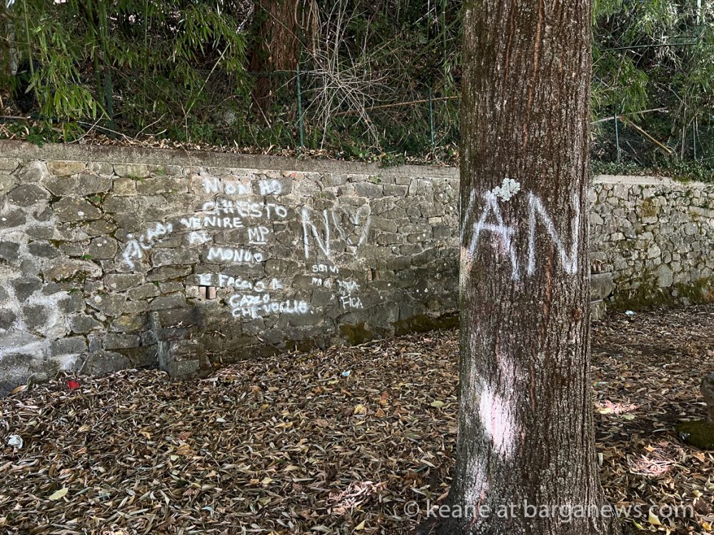 images from barga -51172