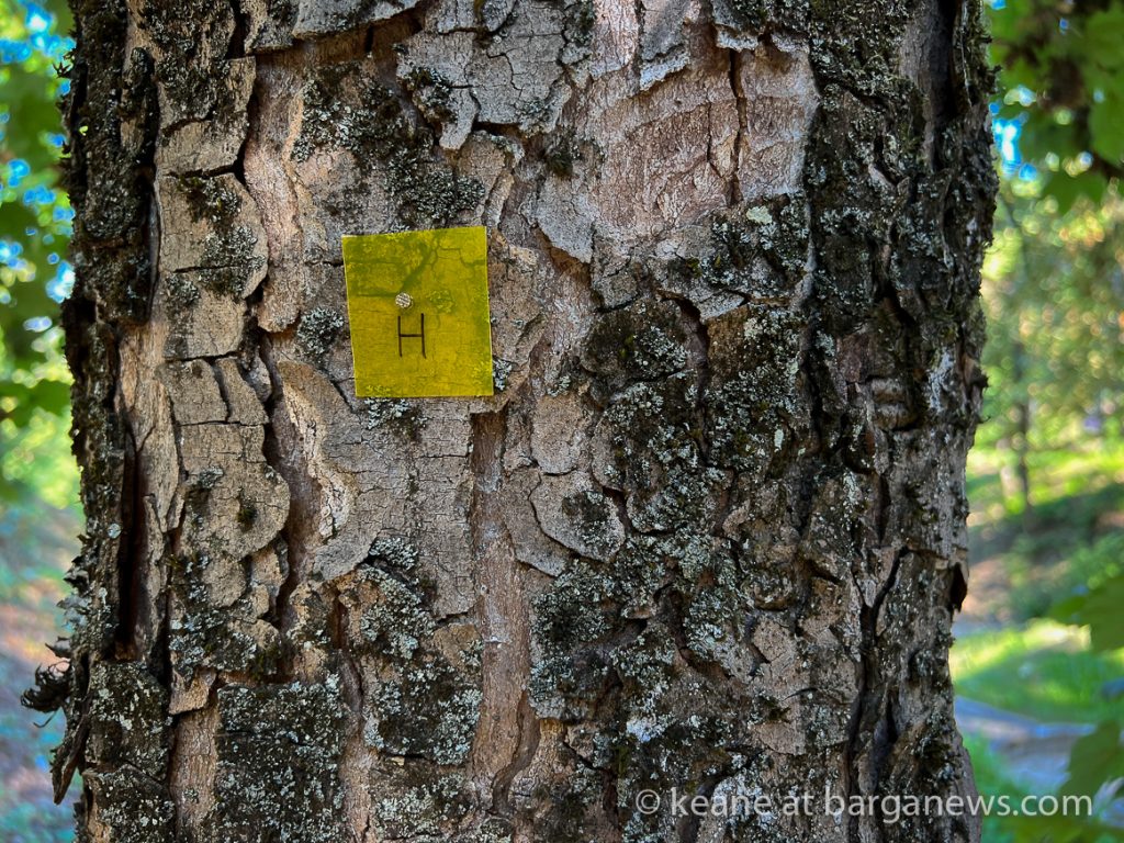 Daily Image from BARGA 26th August 2022