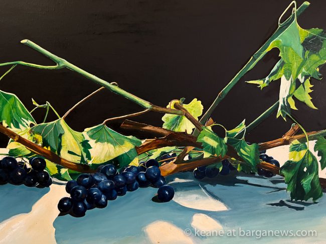 images from barga -52383