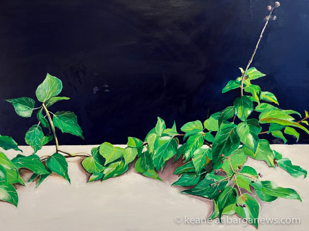 images from barga -52388