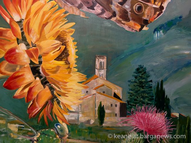 images from barga -52391