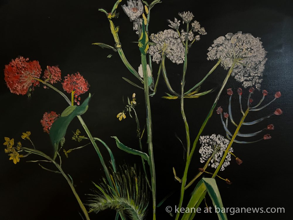 images from barga -52393