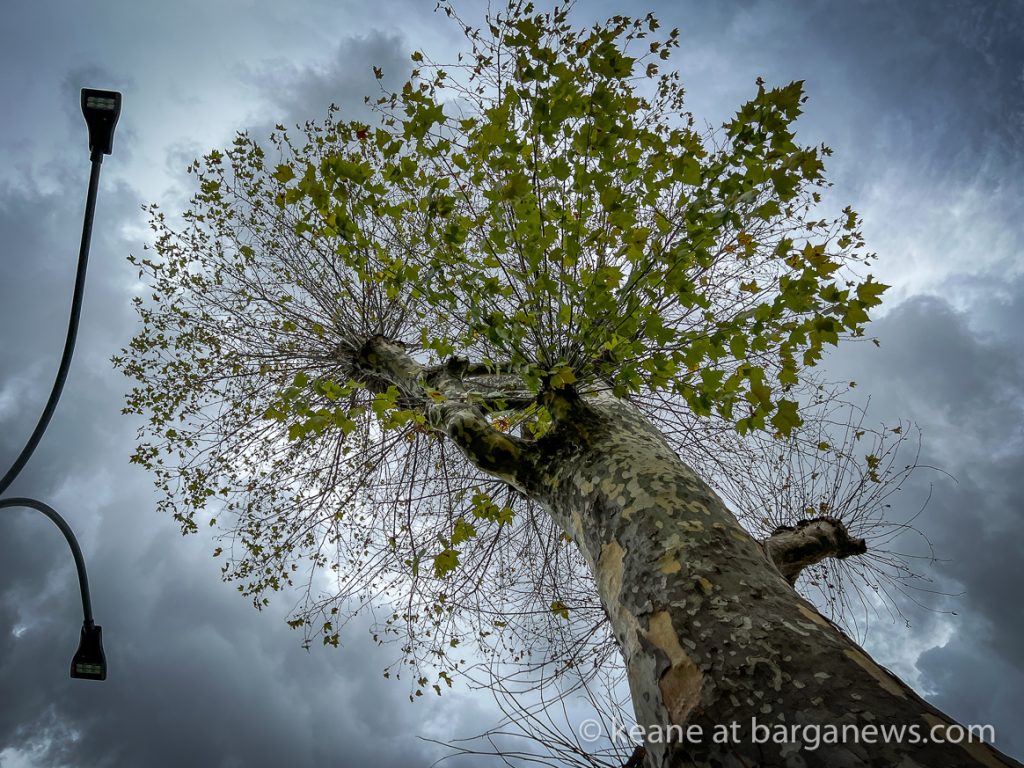 Daily Image from BARGA 30th August 2022