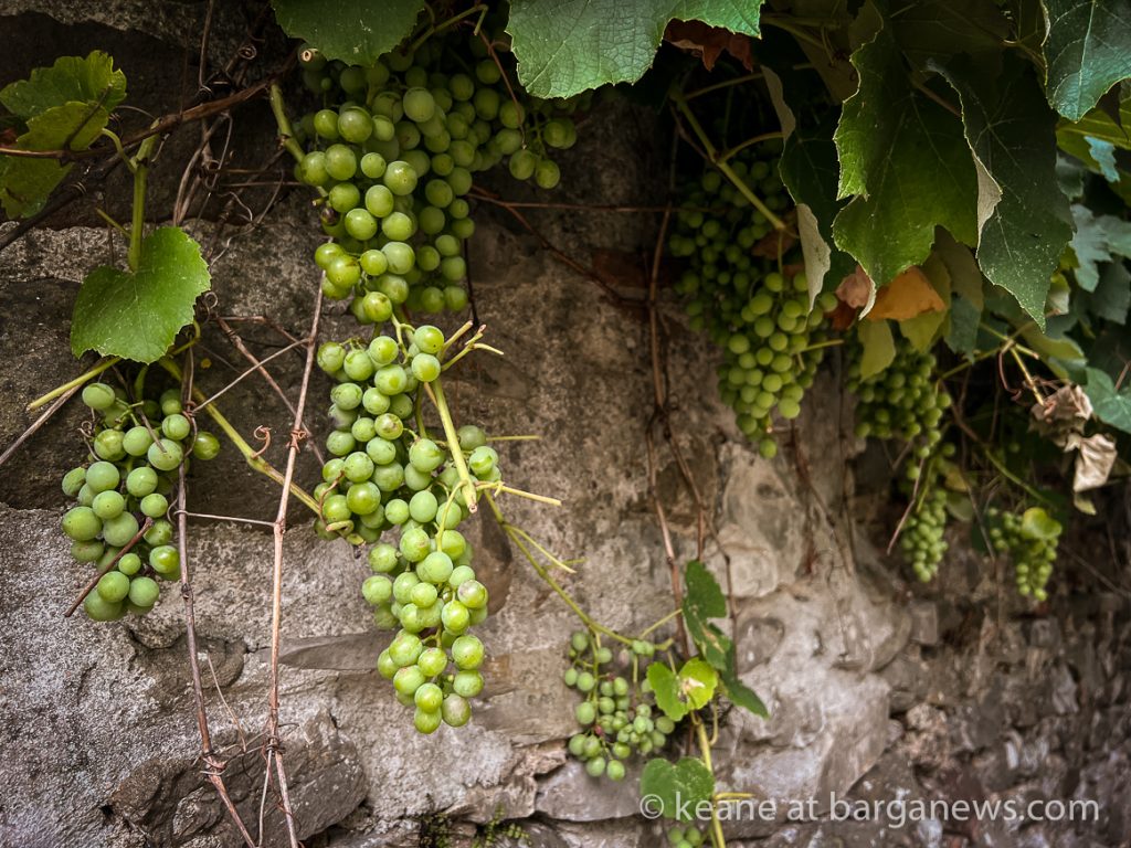 Daily Image from BARGA 31st August 2022