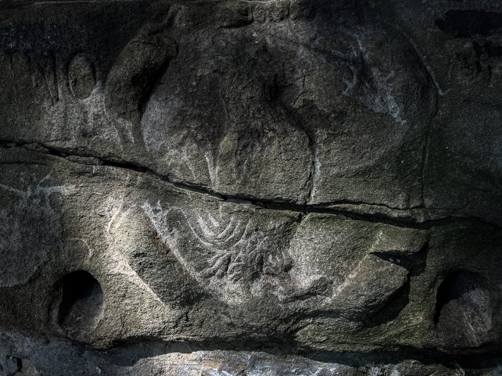 Daily Image from BARGA 3rd September 2022