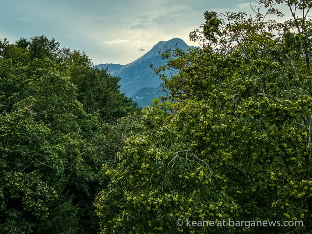 Daily Image from BARGA 4th September 2022