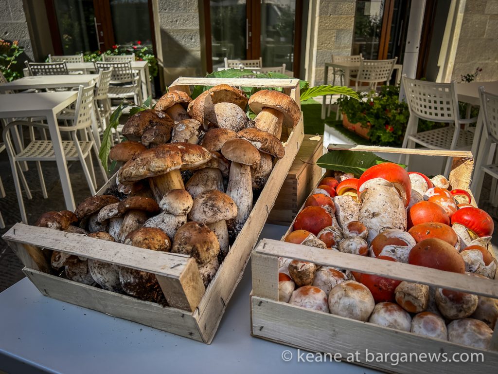 Daily Image from BARGA 13th September 2022