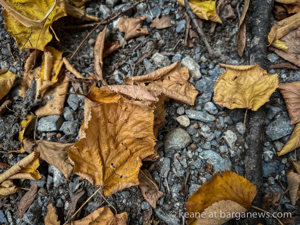 Daily Image from BARGA 15th September 2022