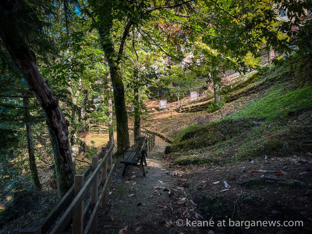 Daily Image from BARGA 3rd October 2022