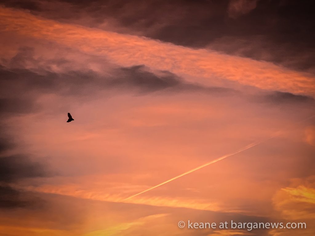 Daily Image from BARGA 4th October 2022