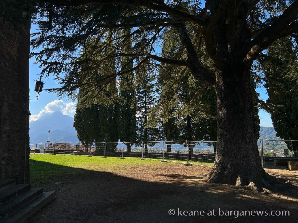 Daily Image from BARGA 12th October 2022