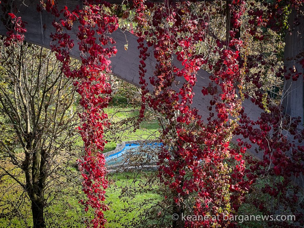 Daily Image from BARGA 8th October 2022