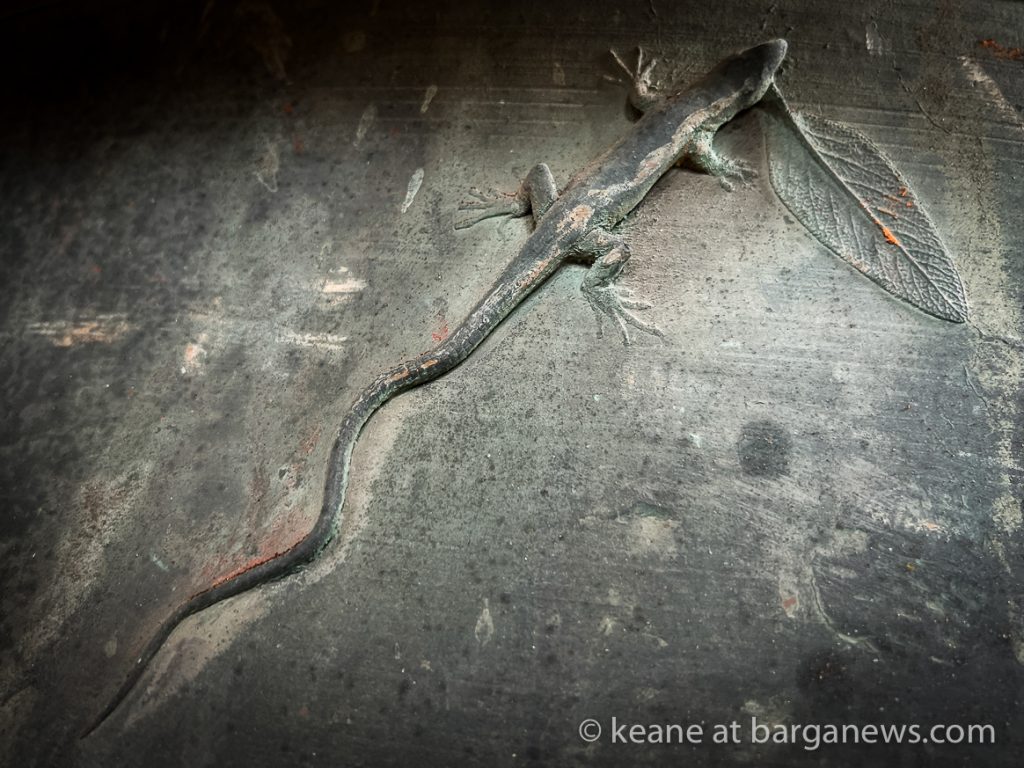 Daily Image from BARGA 16th October 2022