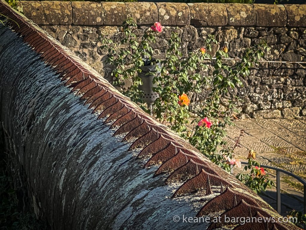 Daily Image from BARGA 21st October 2022