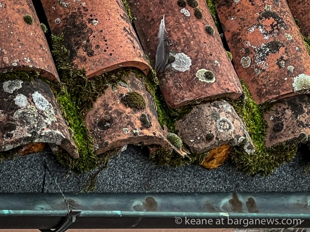 Daily Image from BARGA 22nd October 2022