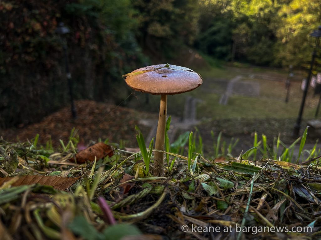 Daily Image from BARGA 27th October 2022