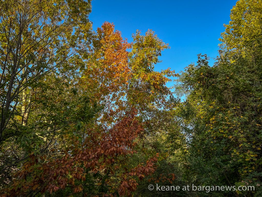 Daily Image from BARGA 28th October 2022