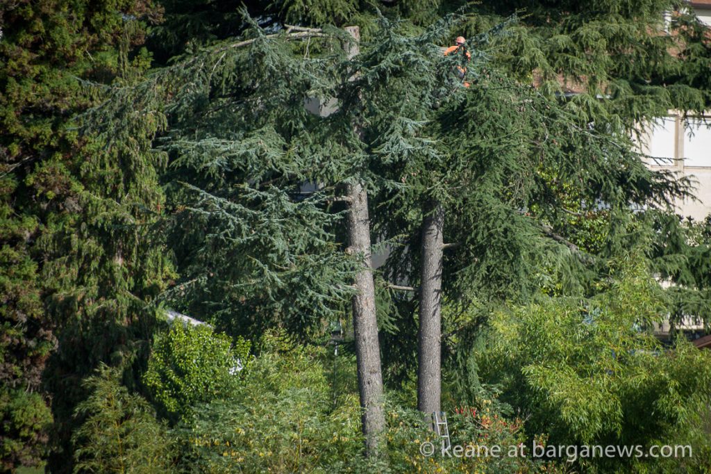 Daily Image from BARGA 29th October 2022