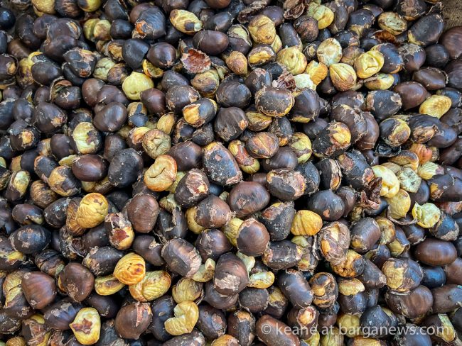 images from barga -55837