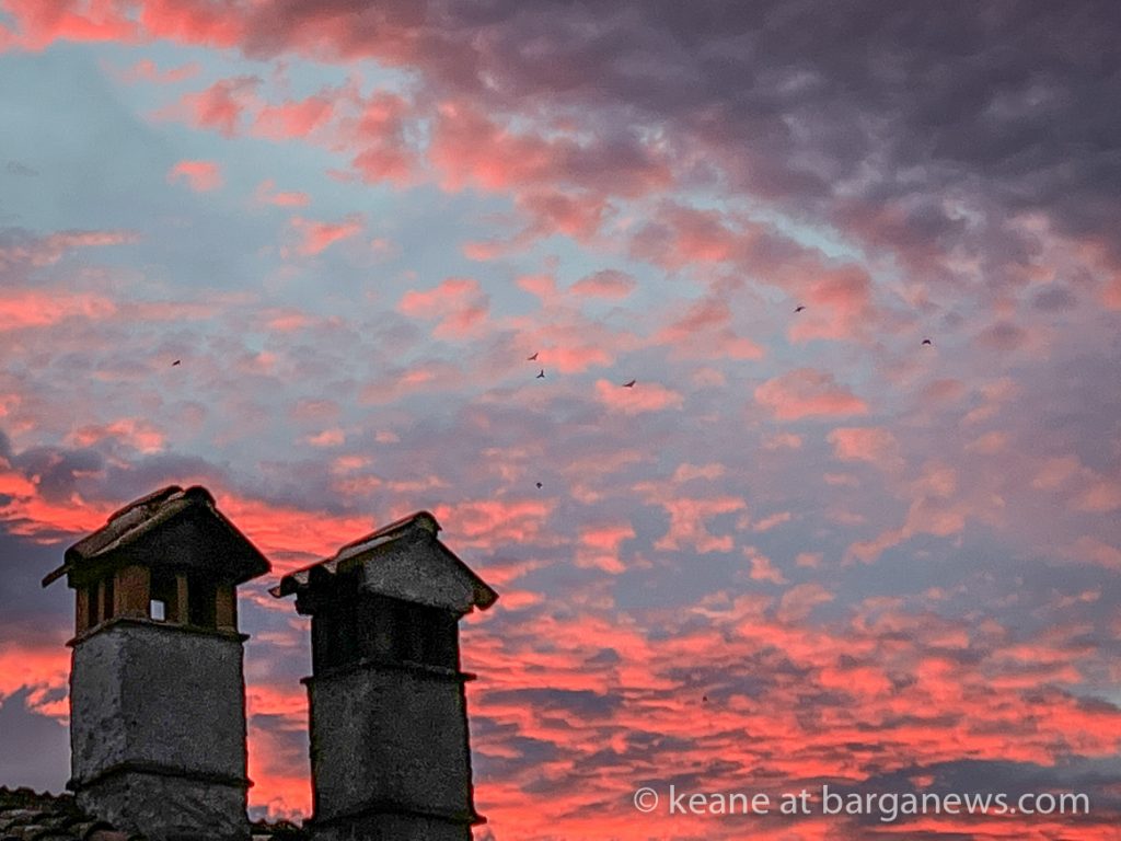 Daily Image from BARGA 13th November 2022