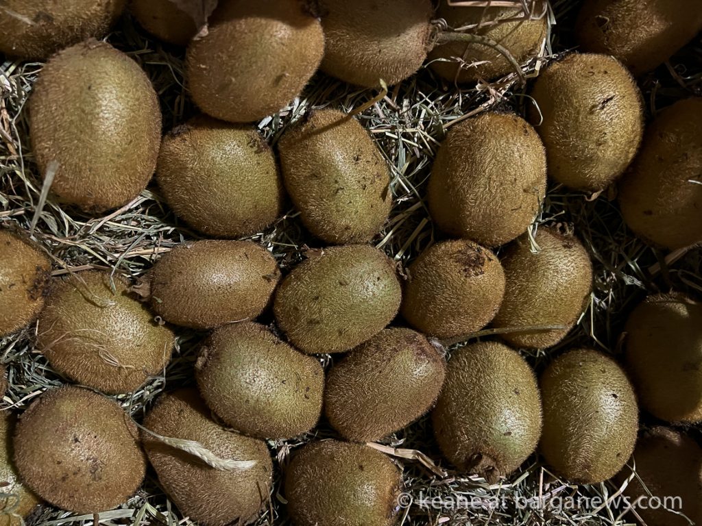 Daily Image from BARGA 27th November 2022