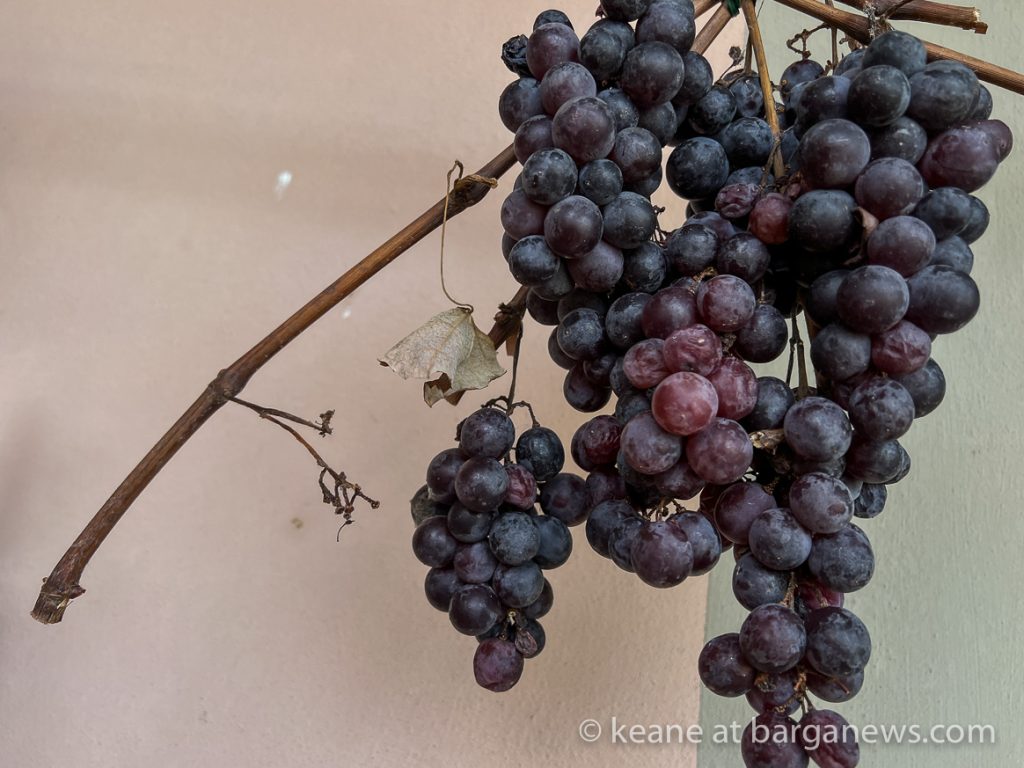 Daily Image from BARGA 29th November 2022