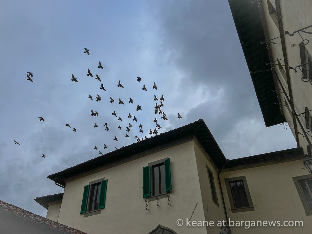 Daily Image from BARGA 7th December 2022