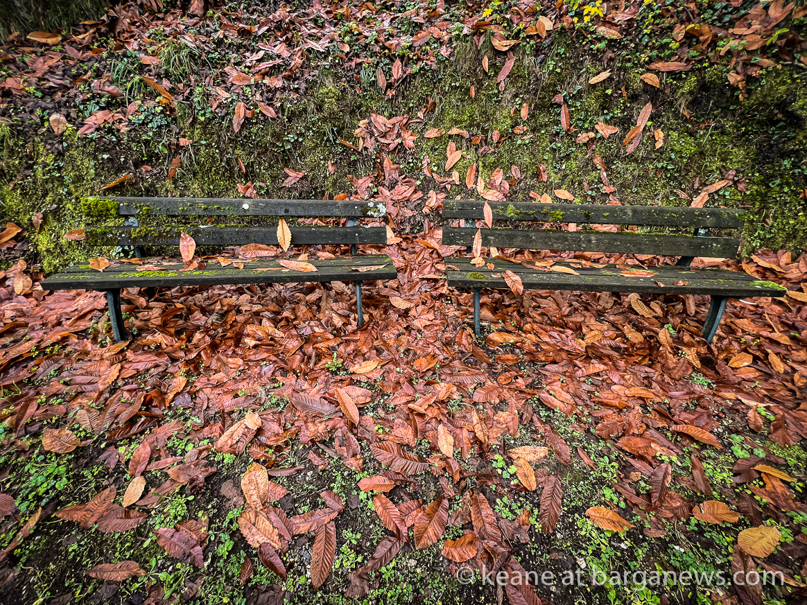 images from barga -57574