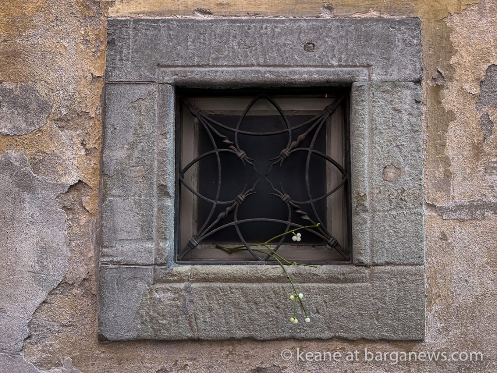 Daily Image from Barga 15th December 2022