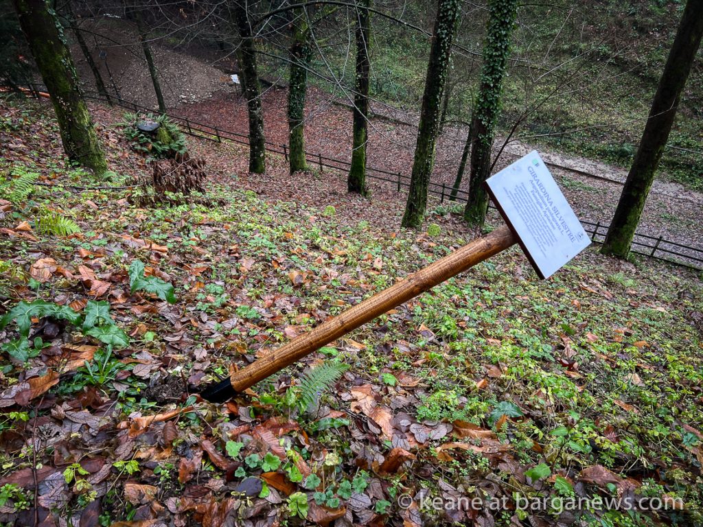 Parco Buozzi – some damage to the botanical path