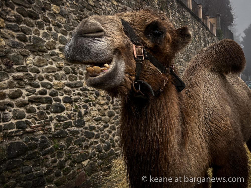 images from barga -60856