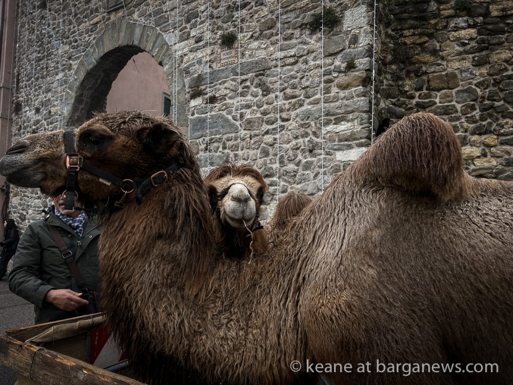 images from barga -60869