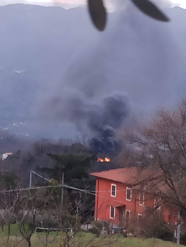 323935388_559664159512834_3929795691570760664_n