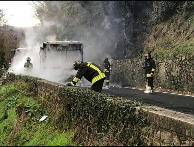 327450151_2114782162244620_1400132495416085940_n