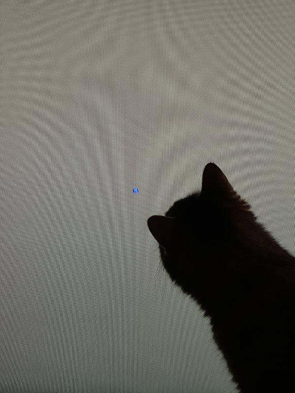 Sometimes life can be difficult