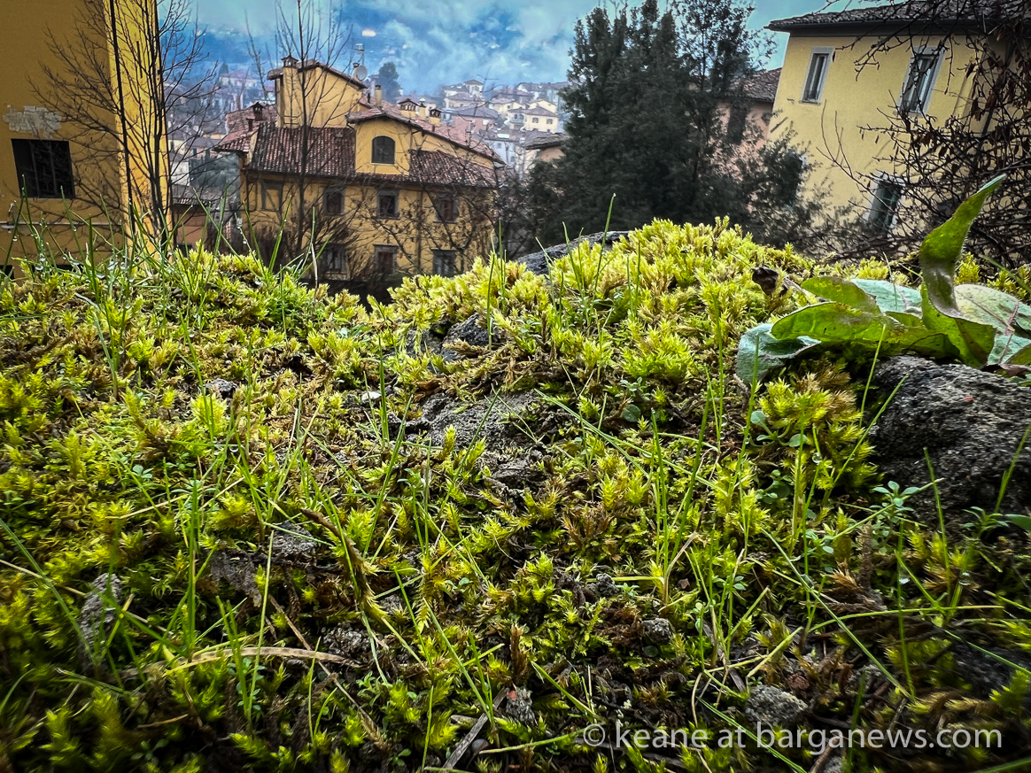 images from barga -62466