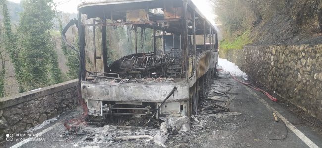 recent images from barga –2