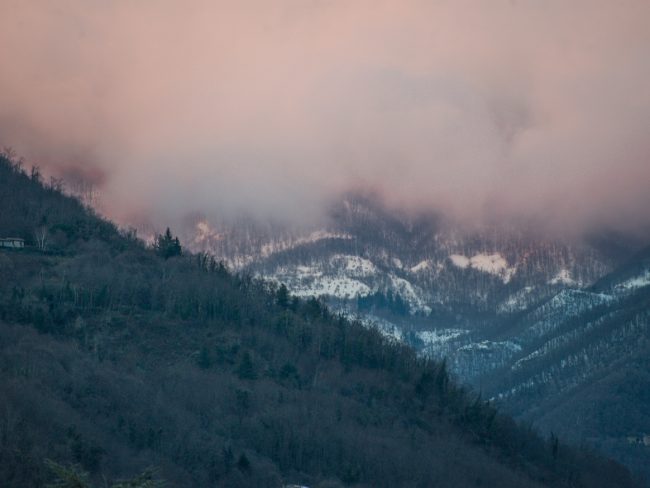 recent images from barga -8393