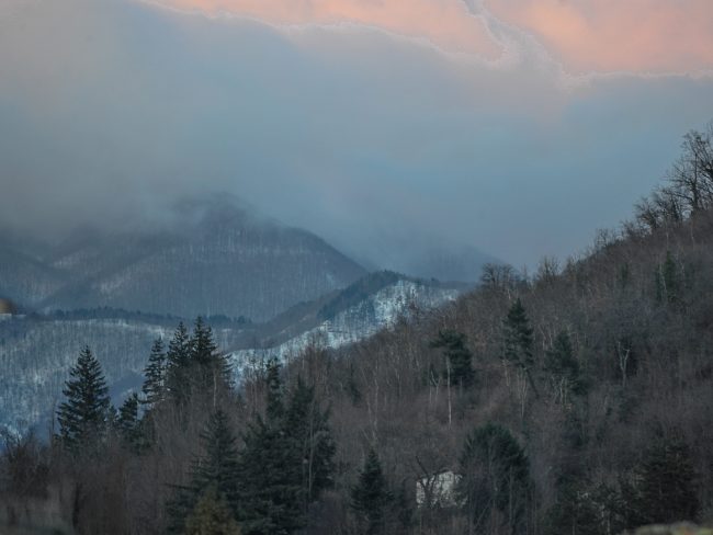 recent images from barga -8395