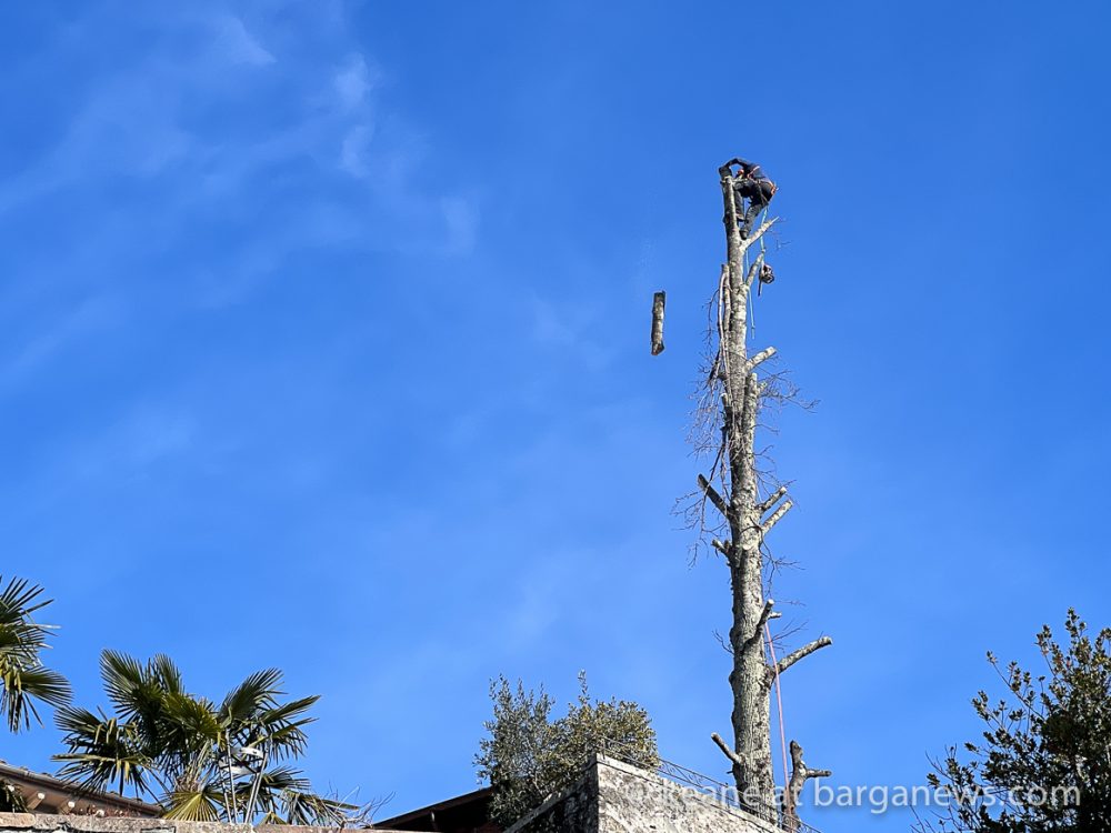 images from barga -1123