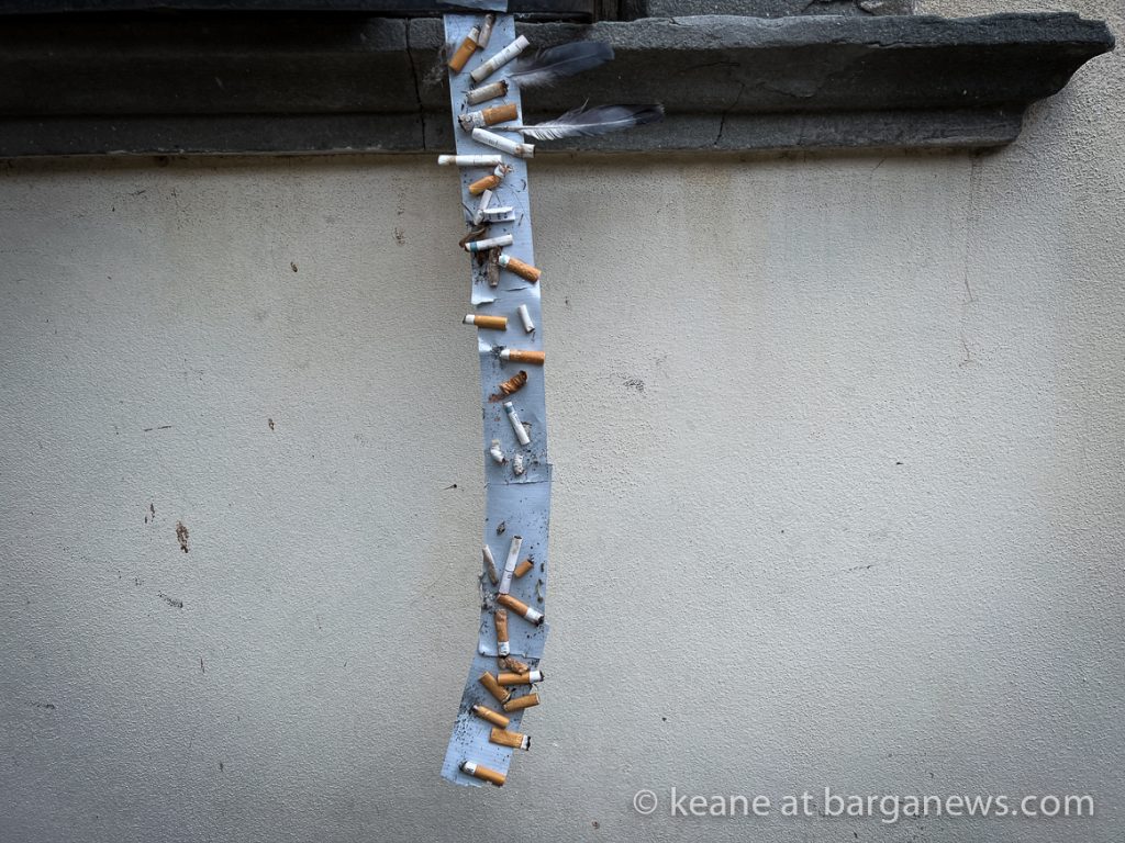 Barga Daily Image 25th February 2023