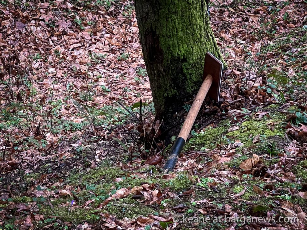 images from barga -1981