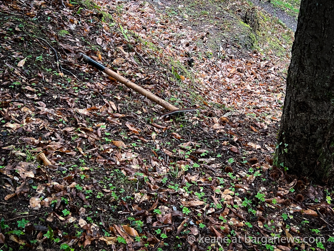 images from barga -1982