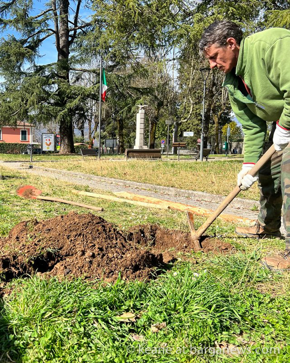 images from barga –