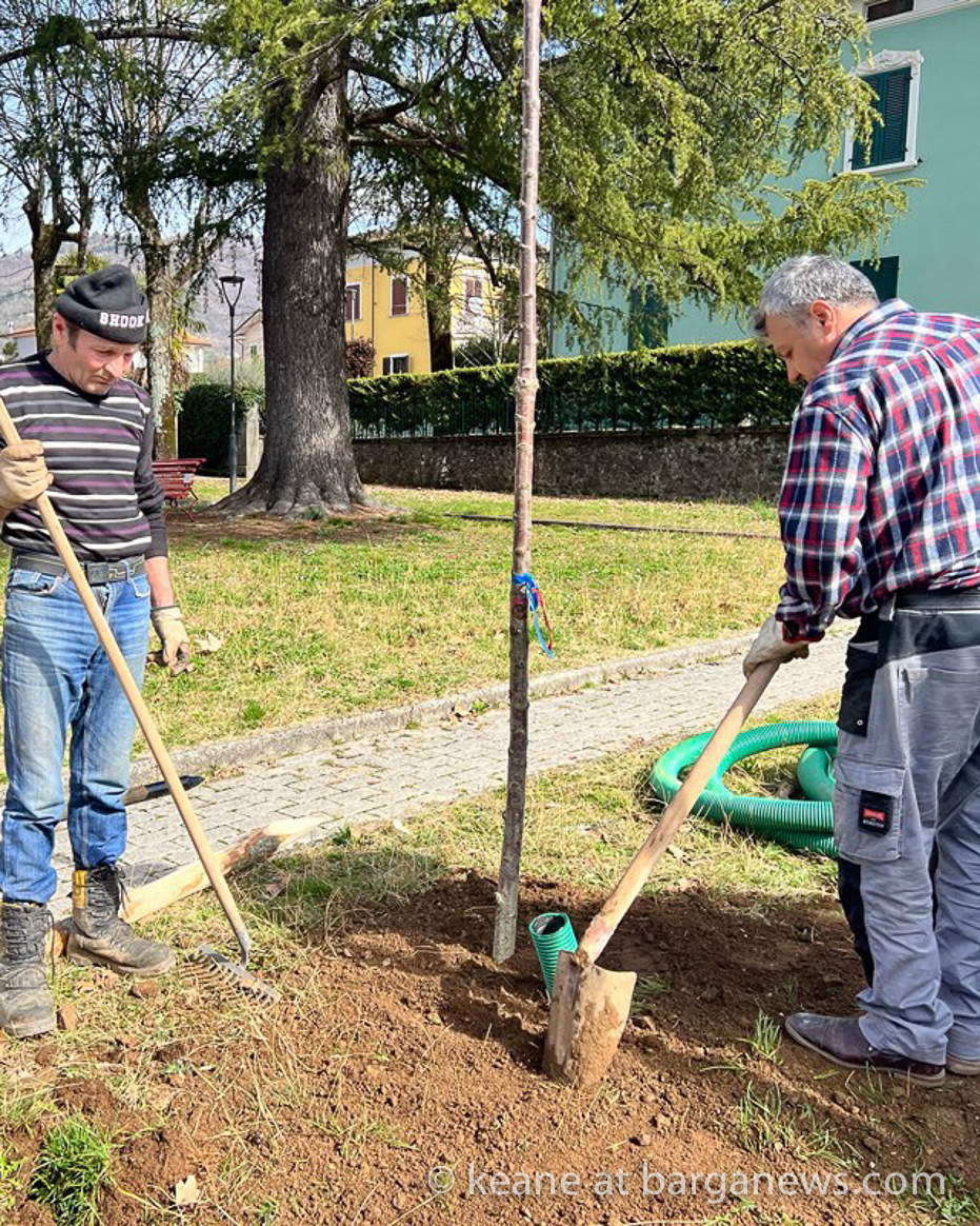 images from barga –2