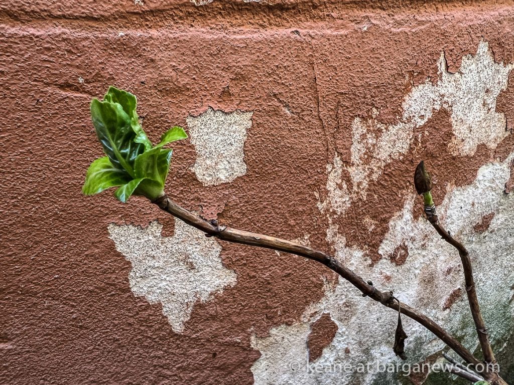 Barga Daily Image 3rd March 2023