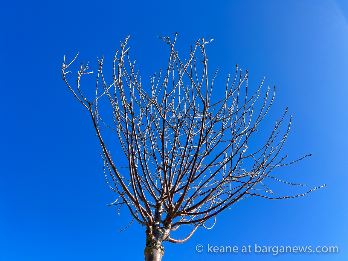 images from barga -2963