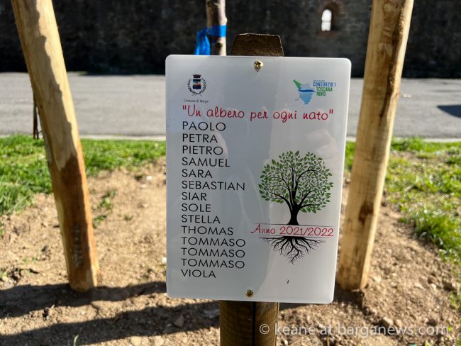 images from barga -2981