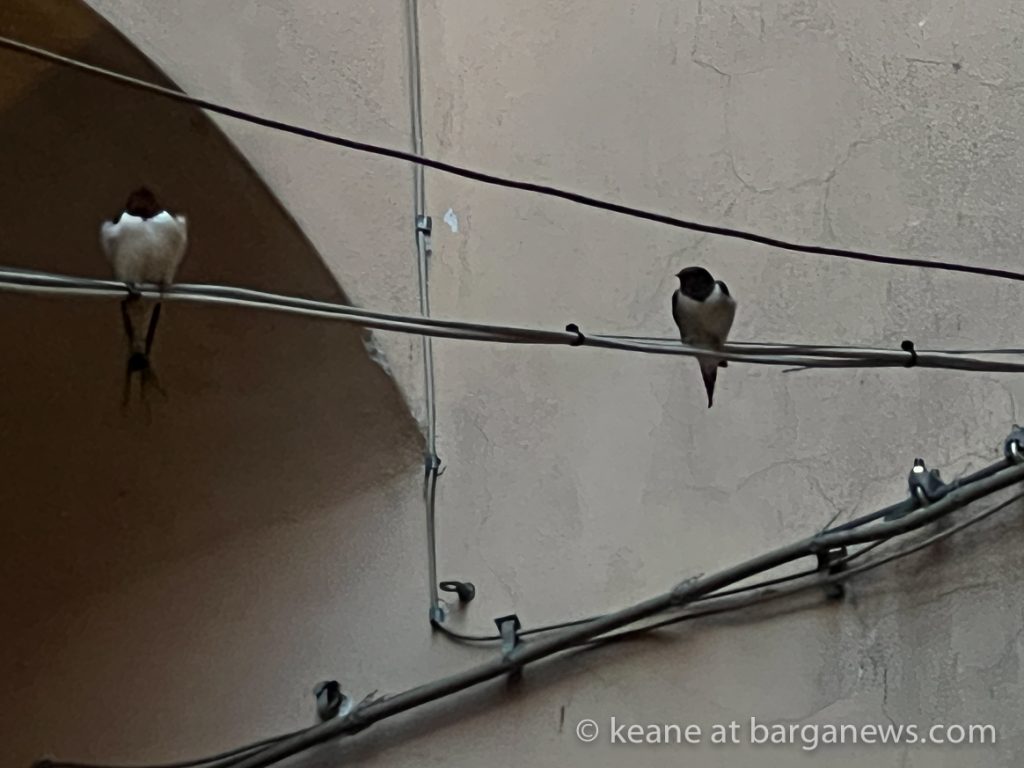 Barga Daily Image 22nd March 2023