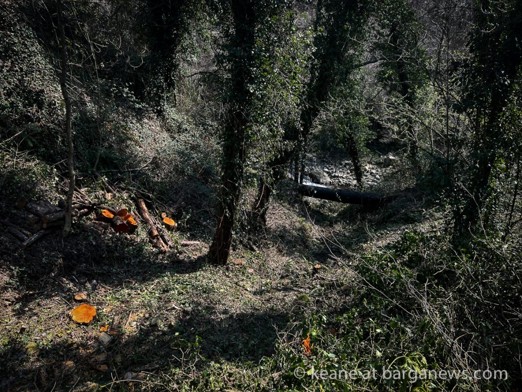 Barga Daily Image 25th March 2023